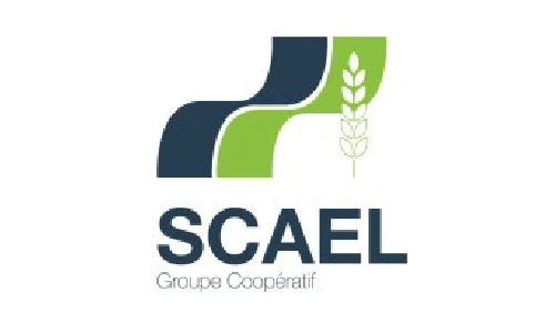 scael